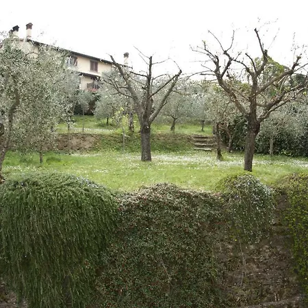 Luce Tuscany *