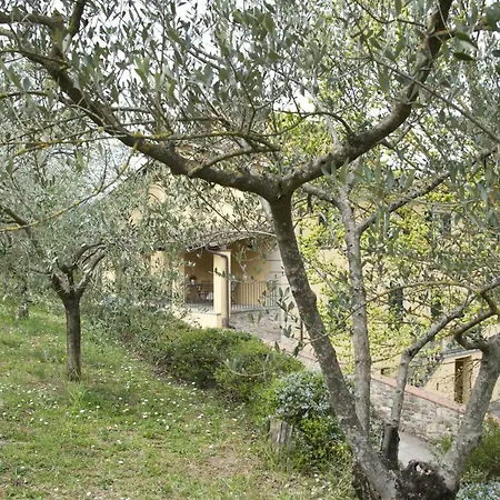 Luce Tuscany Arezzo