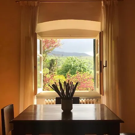 Luce Tuscany Arezzo
